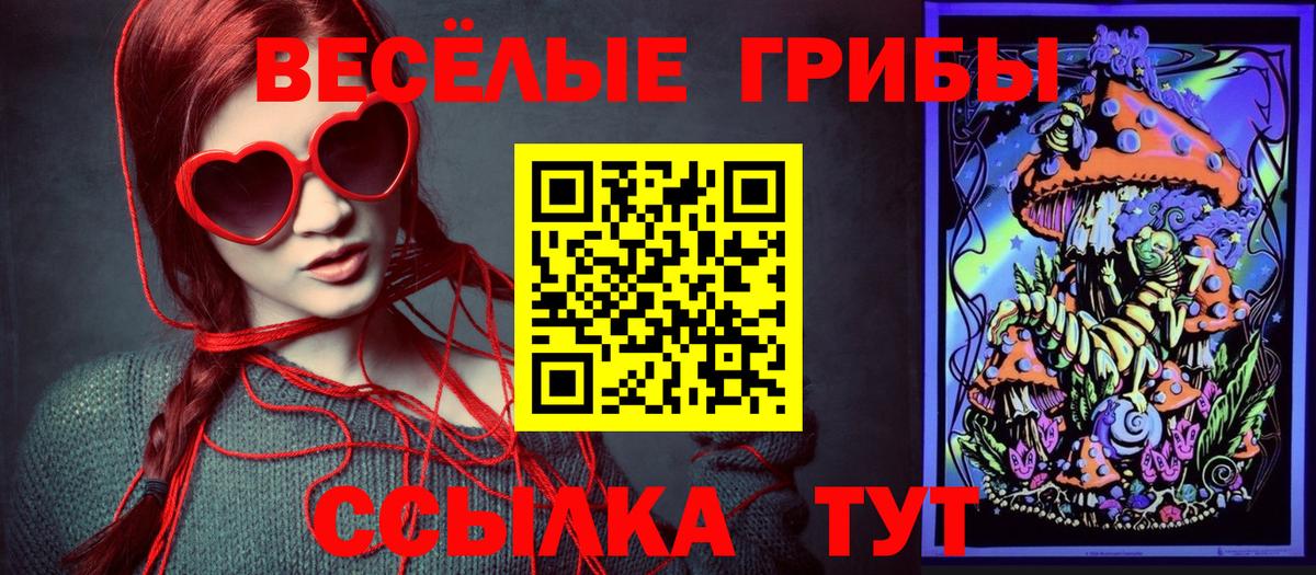 Галлюциногенные грибы прущие грибы  Псилоцибиновые грибы GOLDEN TEACHER  Щёлково  Вход с VPN 