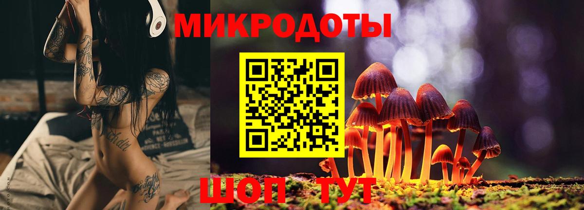 Галлюциногенные грибы Psilocybe Щёлково
